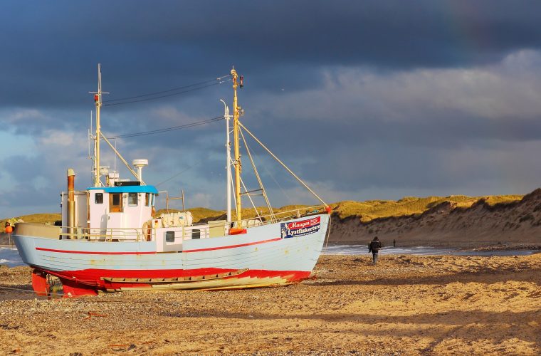 Fishing in Ras Al Khaimah: Spots, Charters and Tips