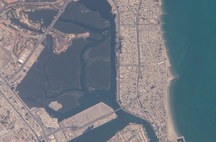 India and Ras Al Khaimah Deepen Trade and Investment Ties as Consul General Meets RAK Ruler